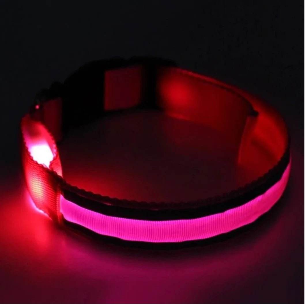 Glow In The Dark Dog Collar - Gadgets and Fun Stuff