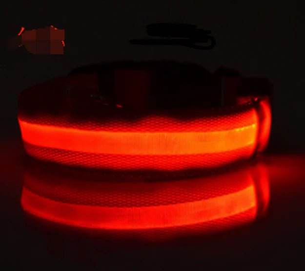 Glow In The Dark Dog Collar - Gadgets and Fun Stuff