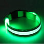 Glow In The Dark Dog Collar - Gadgets and Fun Stuff