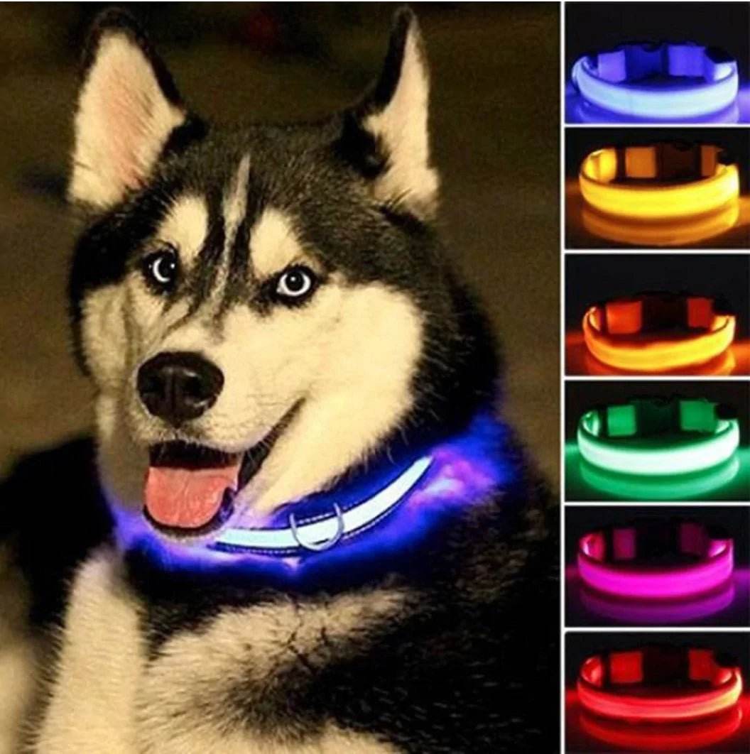 Glow In The Dark Dog Collar - Gadgets and Fun Stuff