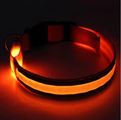 Glow In The Dark Dog Collar - Gadgets and Fun Stuff