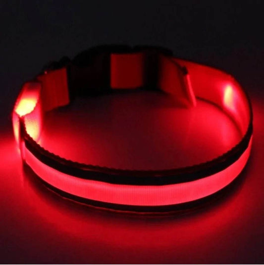 Glow In The Dark Dog Collar - Gadgets and Fun Stuff