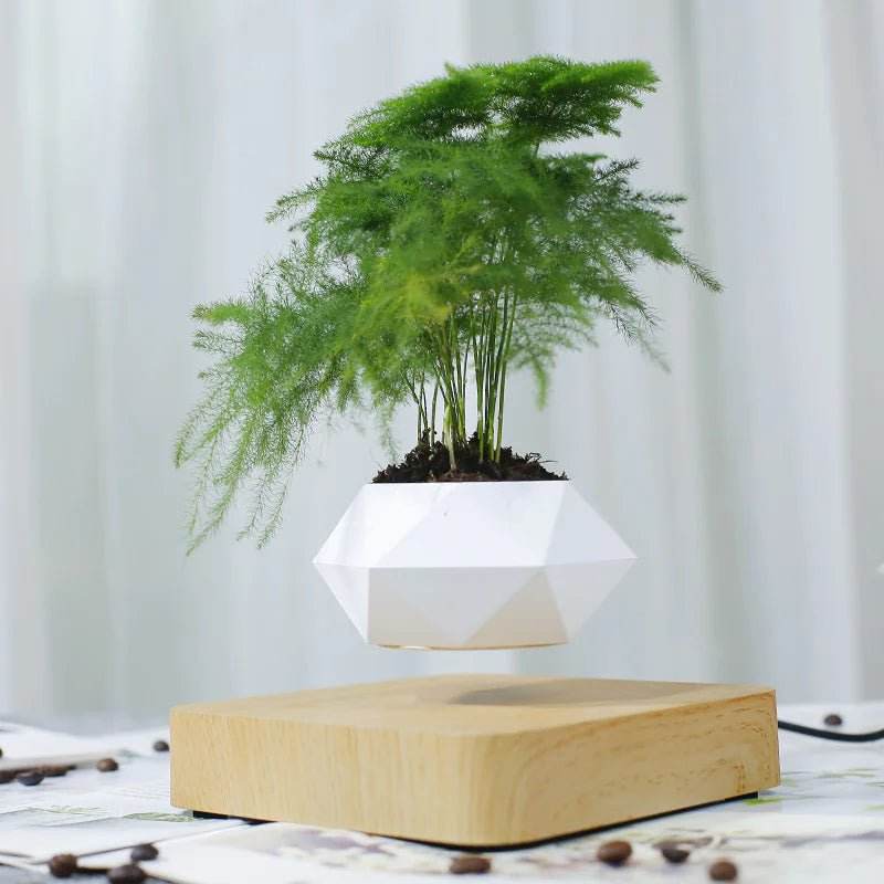 HoverWood Levitation Pot - Gadgets and Fun Stuff