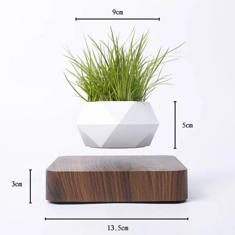 HoverWood Levitation Pot - Gadgets and Fun Stuff