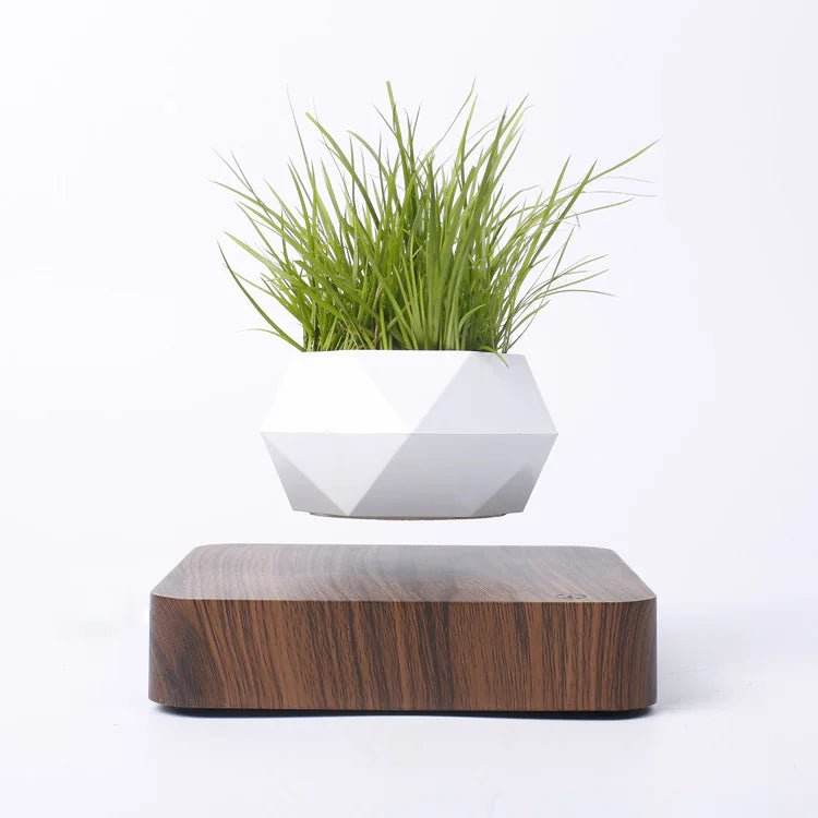 HoverWood Levitation Pot - Gadgets and Fun Stuff