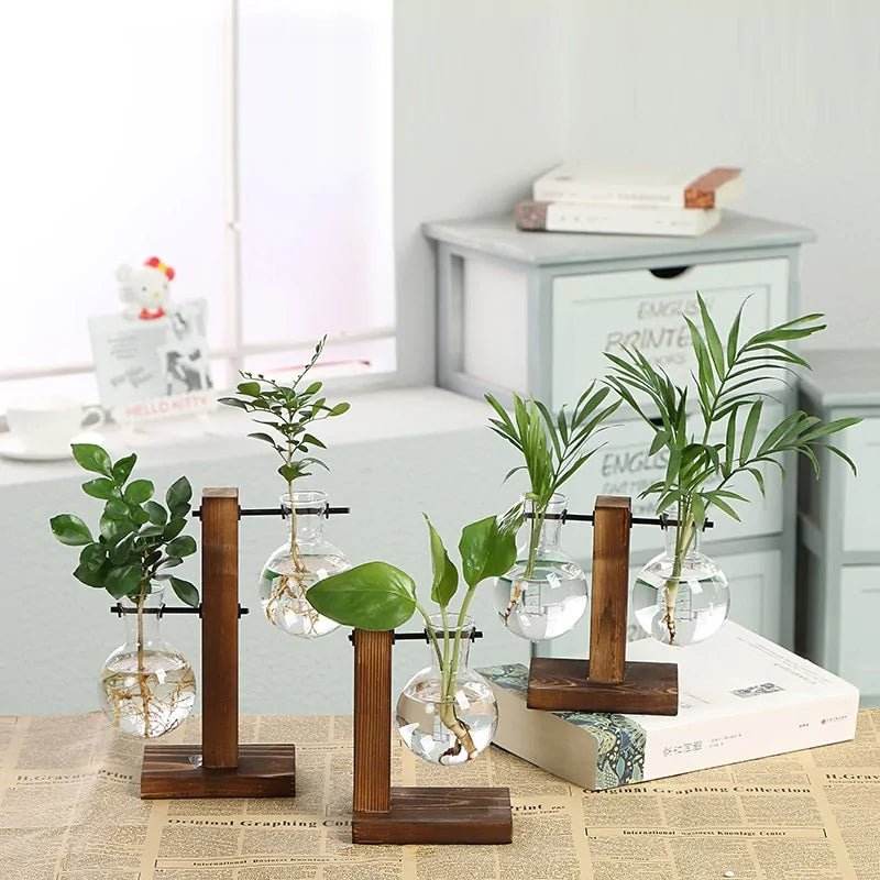 Hydroponic Transparent Plant Vases - Gadgets and Fun Stuff