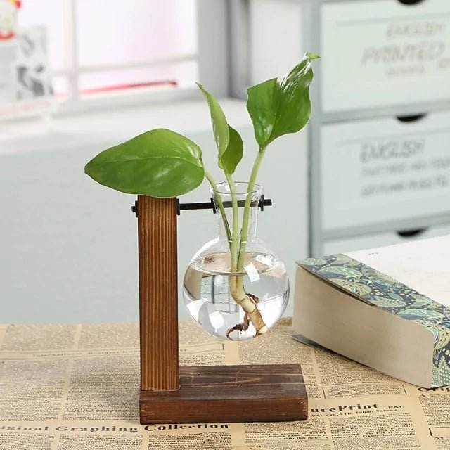 Hydroponic Transparent Plant Vases - Gadgets and Fun Stuff