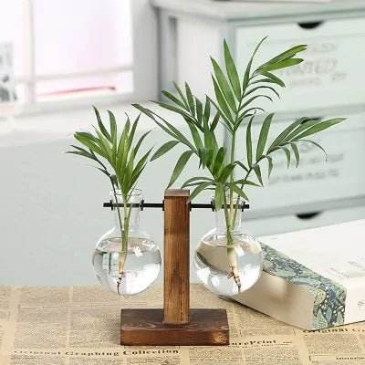 Hydroponic Transparent Plant Vases - Gadgets and Fun Stuff