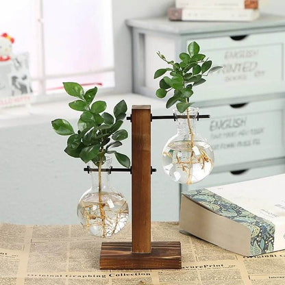 Hydroponic Transparent Plant Vases - Gadgets and Fun Stuff