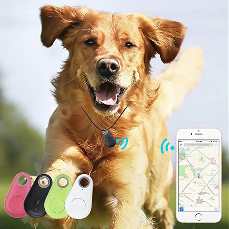 Pet Smart GPS Tracker - Gadgets and Fun Stuff